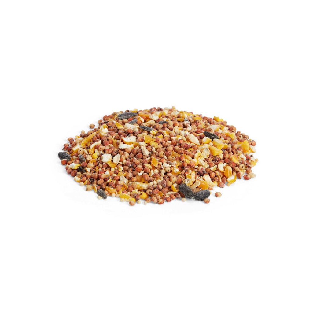 All Purpose Seed Mix Wild Bird Food O585