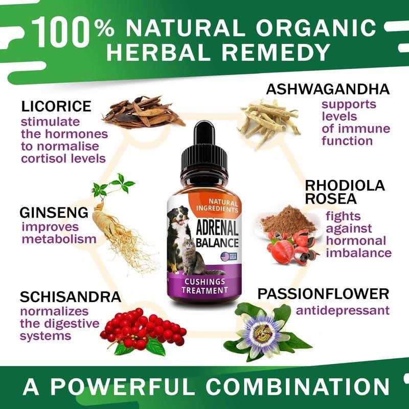 Adrenal Balance for Dogs and Cats H18050