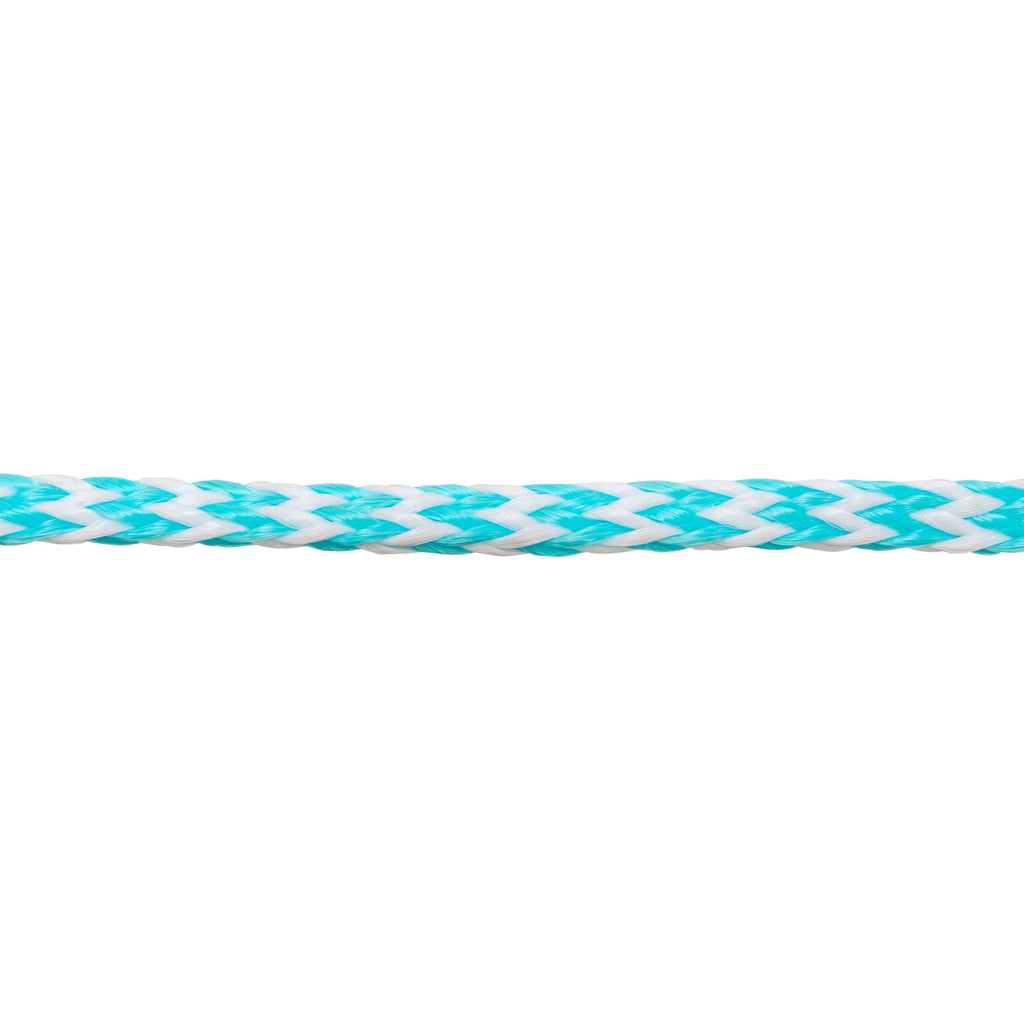 Inflatable 60 ft Booster Ball C616263