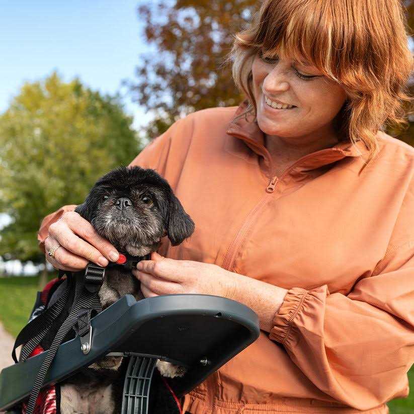 Dog Bicycle Seat for Dogs Up To 25 lbs T244