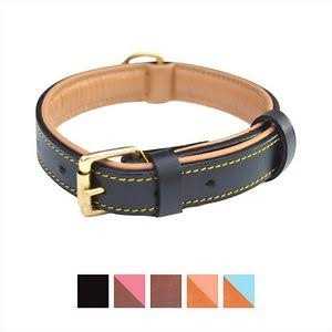 Leather Padded Dog Collar R360827