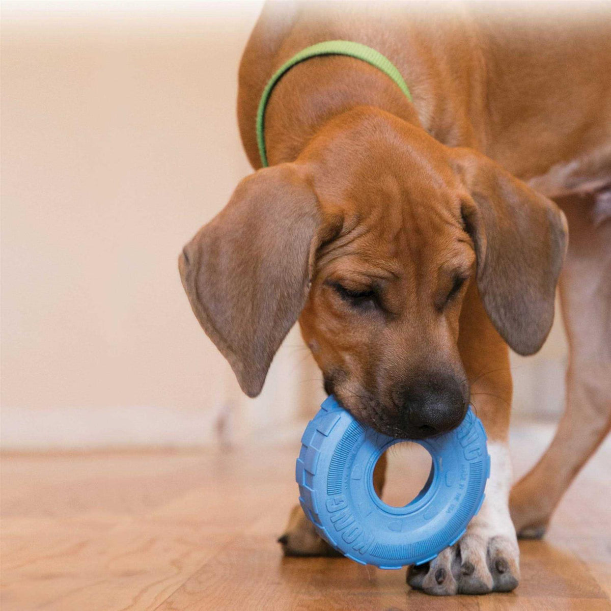 Puppy Toy J893120