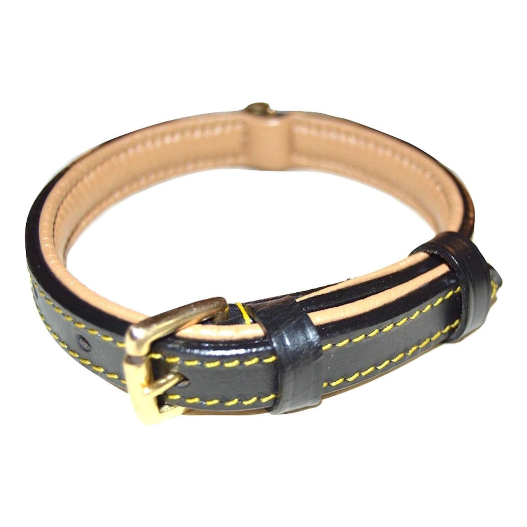 Leather Padded Dog Collar R360827