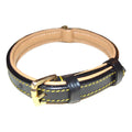 Leather Padded Dog Collar R360827