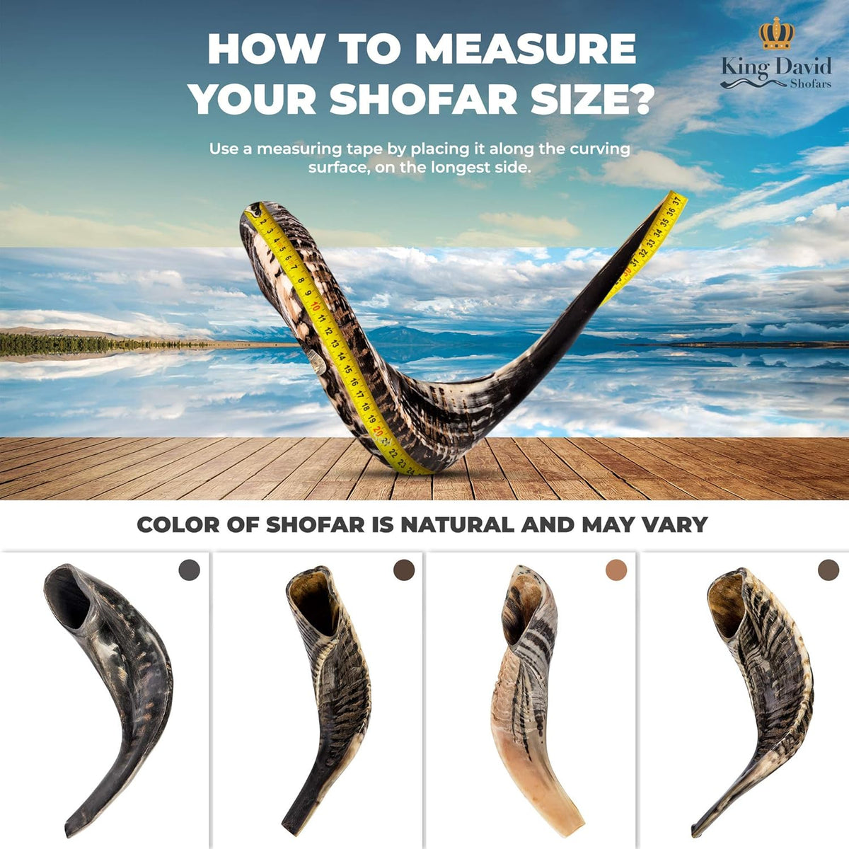 Shofar Horn Instrument Pack of 2 E39093
