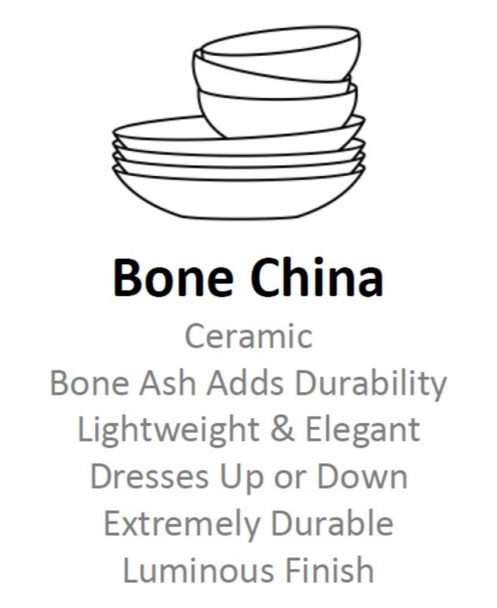 5 Piece Place Setting V151
