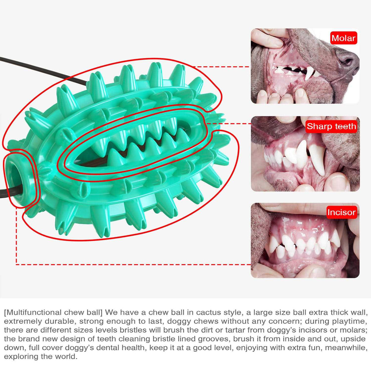 Toothbrush Dog Chew Toy J20494
