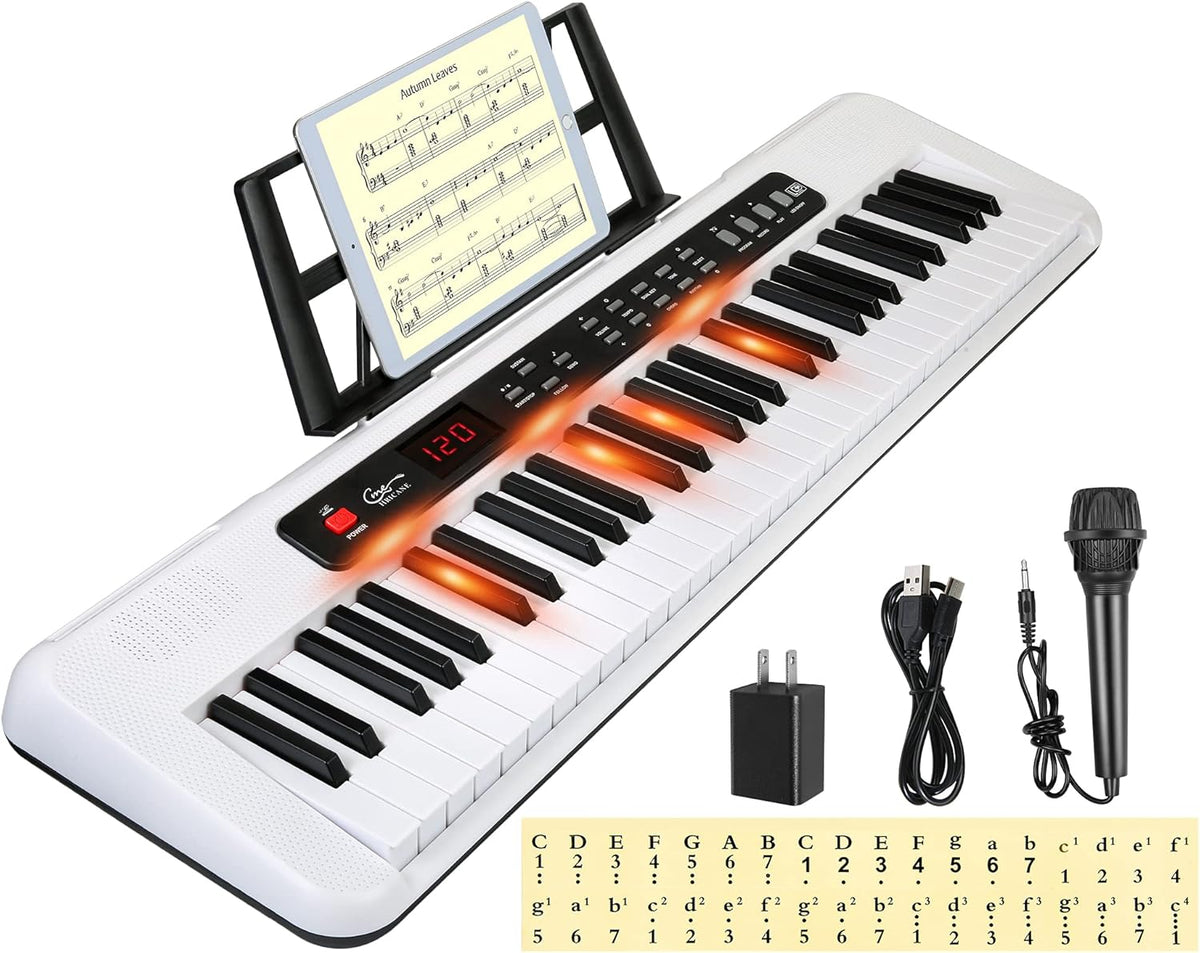 61 Key Lighted Keys Electronic Keyboard Piano with Microphone K16892