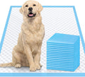 XL 28x34 Disposable Polymer Quick Dry Pet Training Pee Pads T22012