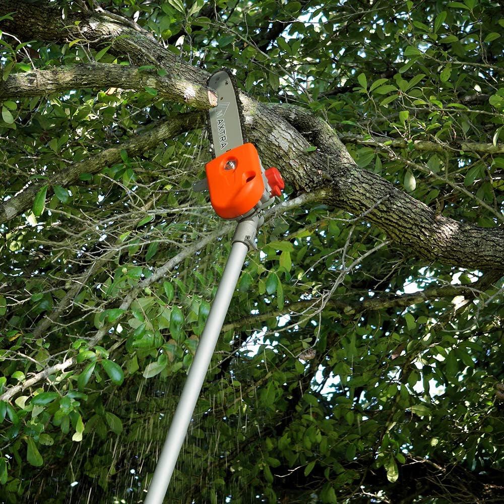 10 inch Gas Cordless Pole Saw with 3.6ft Extension G18164
