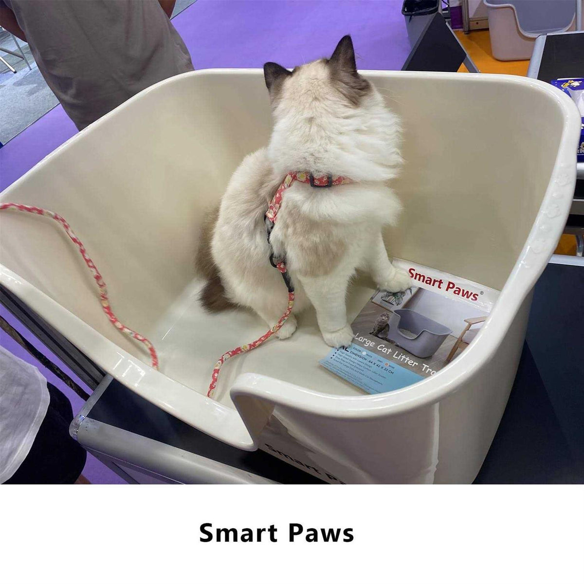 Cat Litter Box with High Sides C735