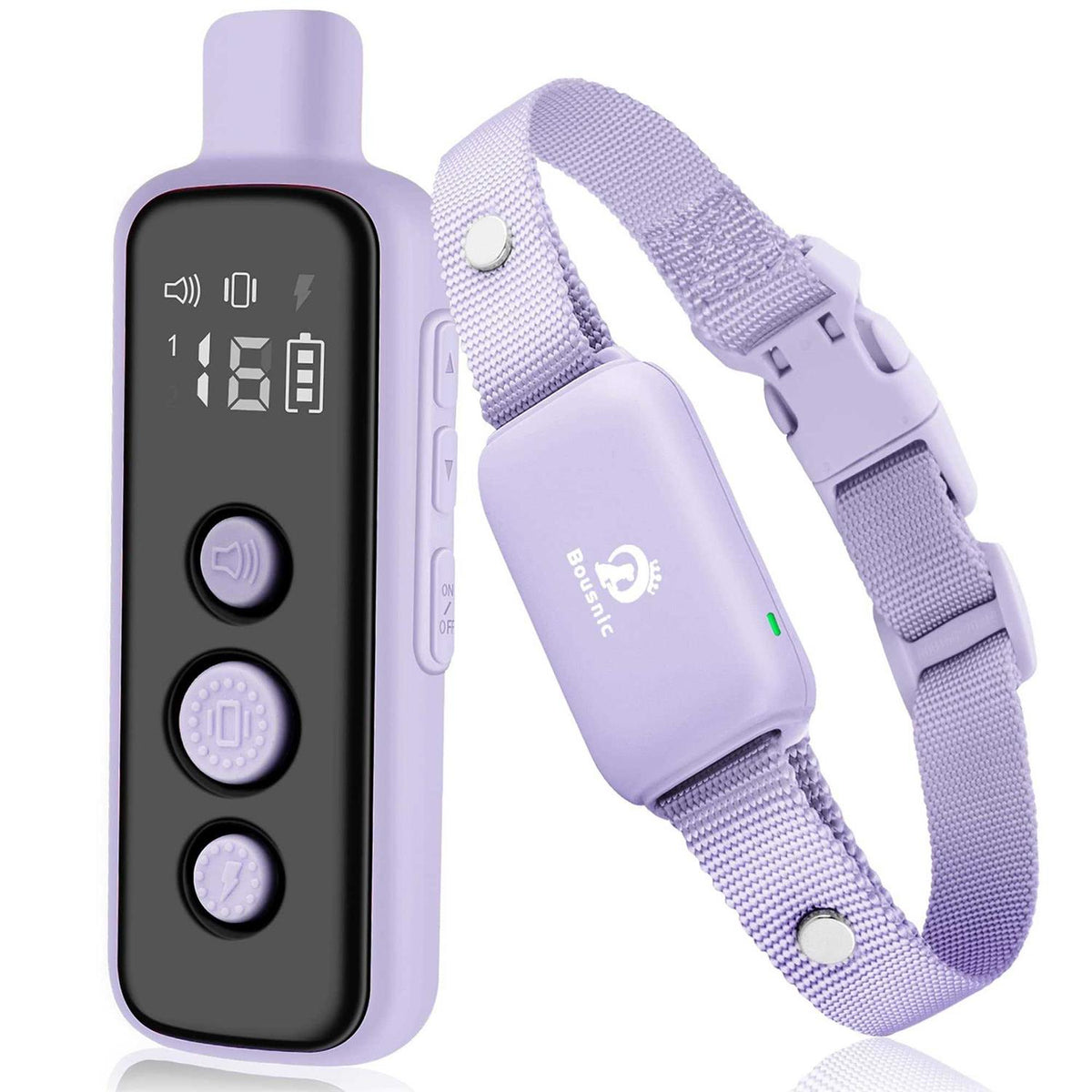 Waterproof Rechargeable Electric Dog Training Collar with Remote R331