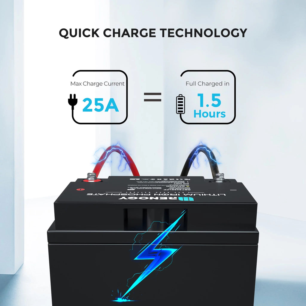 24V 25Ah Lithium Iron Phosphate Battery C59760