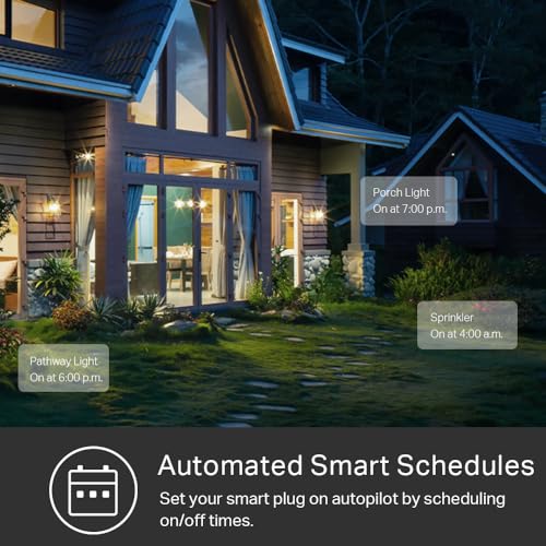 Outdoor Smart Plug with 2 Sockets, Black W96619