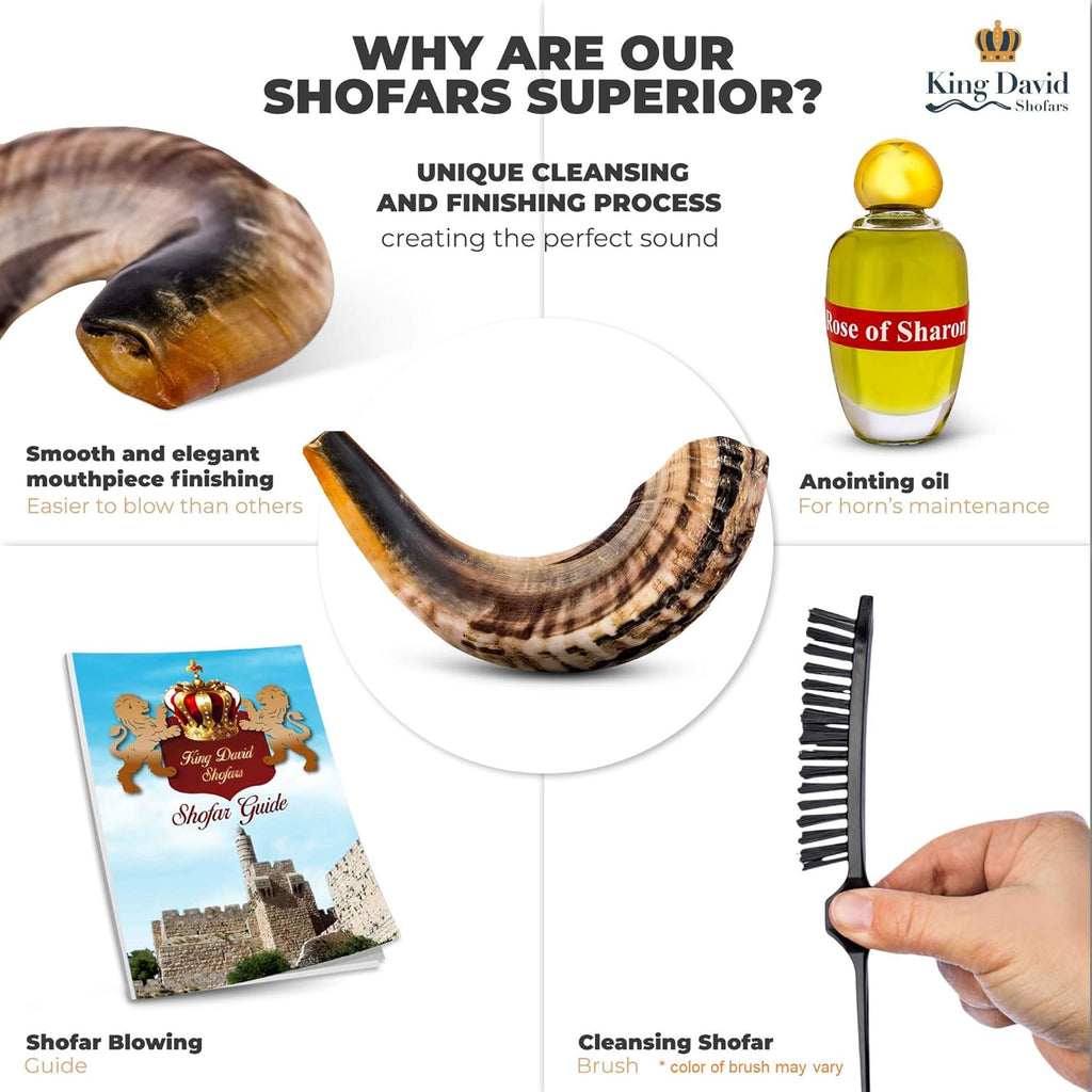 Shofar Horn Instrument Pack of 2 E39093