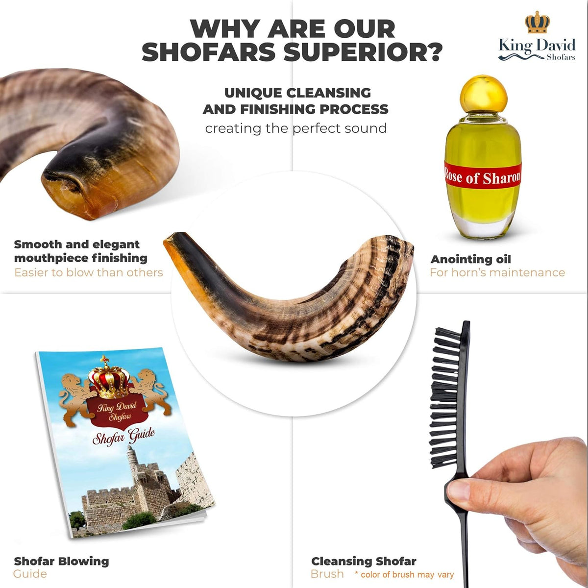 Shofar Horn Instrument Pack of 2 E39093