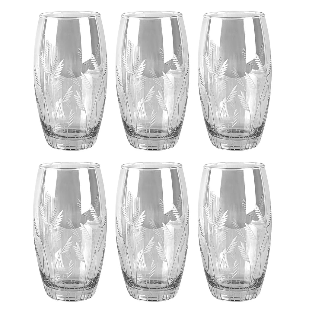 Smoke 16.9 fl oz Drinking Glasses Set of 6 T2884
