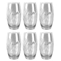 Smoke 16.9 fl oz Drinking Glasses Set of 6 T2884
