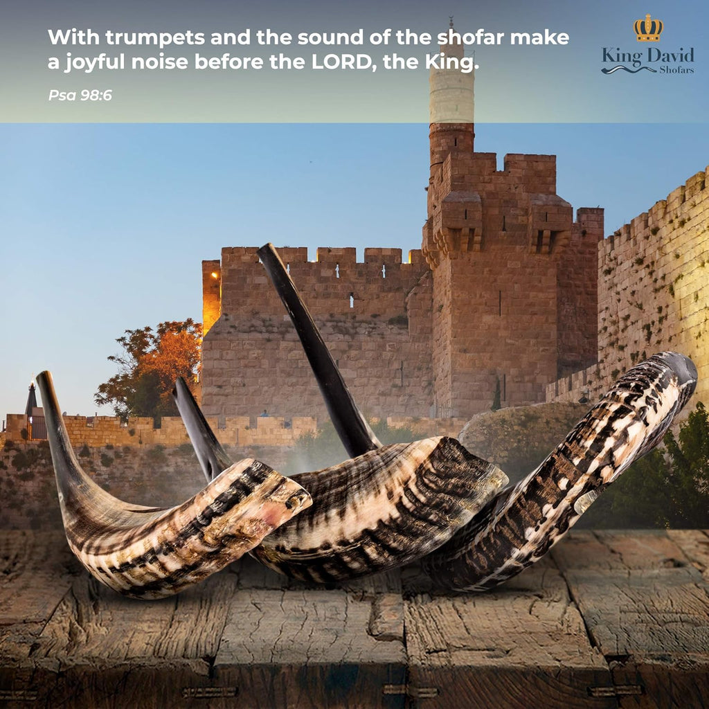 Shofar Horn Instrument Pack of 2 E39093