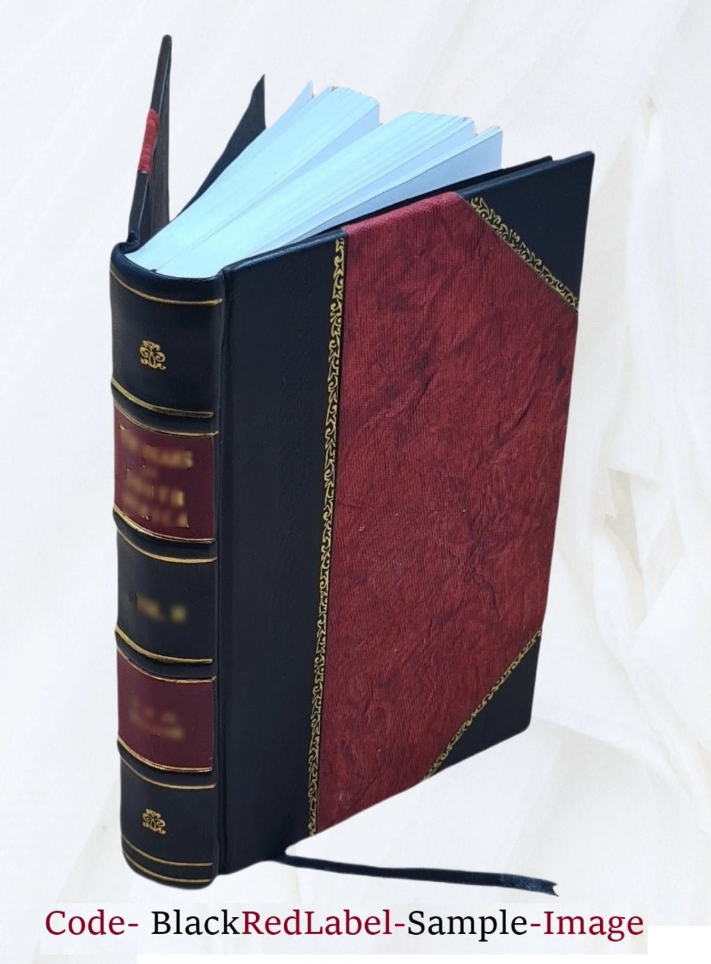 Leather Bound N479
