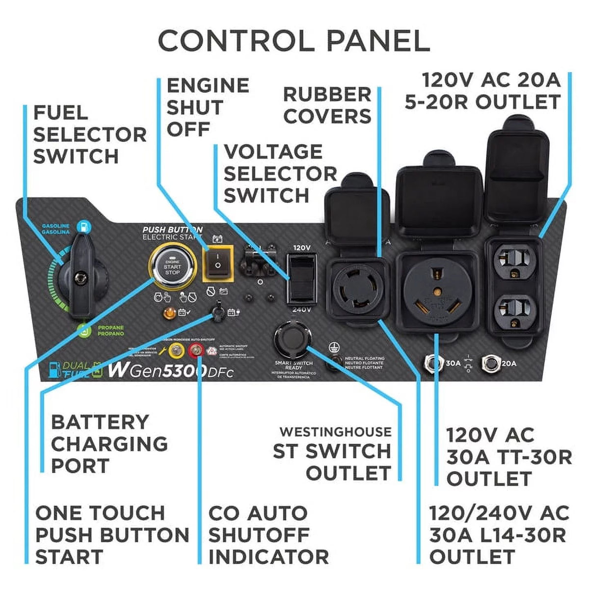 Dual Fuel Portable Generator with Remote Electric Start E1398